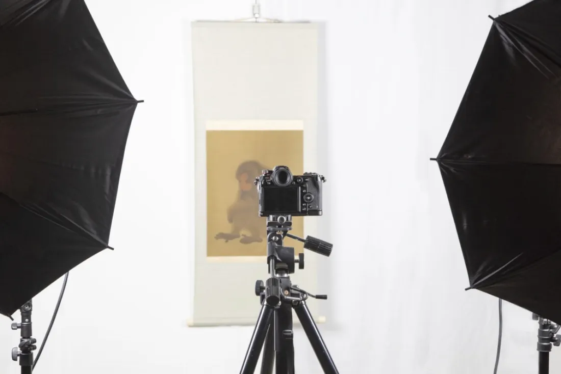 High-resolution photography